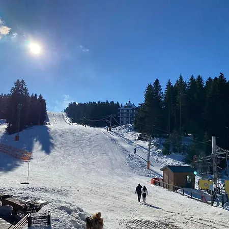 Kopaonik-residence Hill Repnica A71 * Čajetina