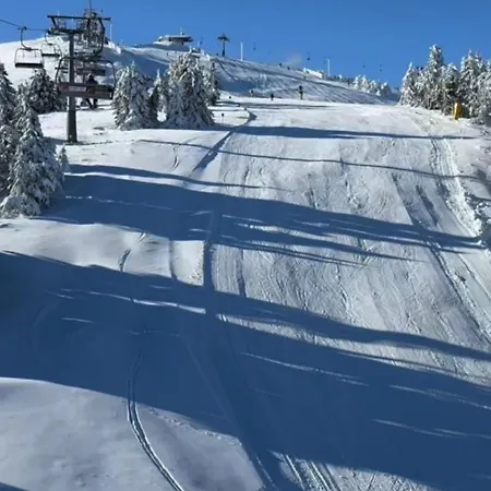 Kopaonik-residence Hill Repnica A71 * Čajetina