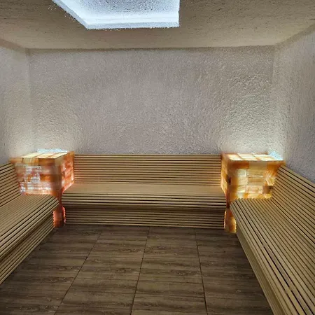 Daire Kopaonik-residence Hill Repnica A71 *