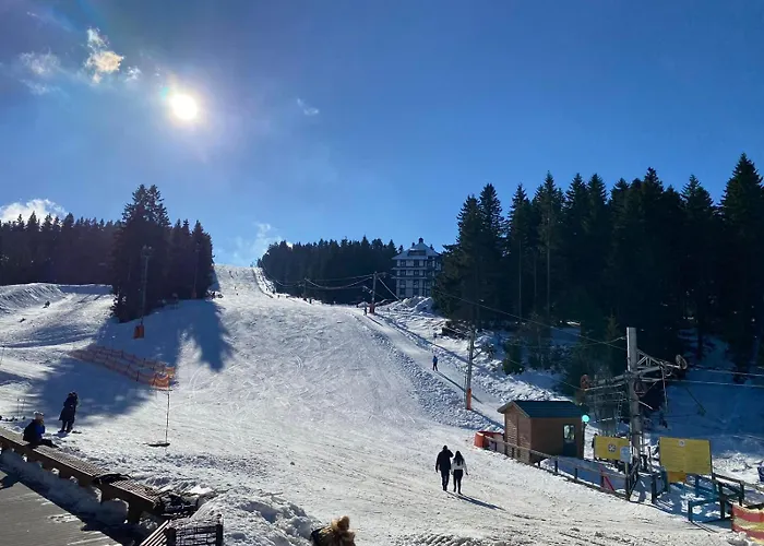 Kopaonik-residence Hill Repnica A71 * Čajetina