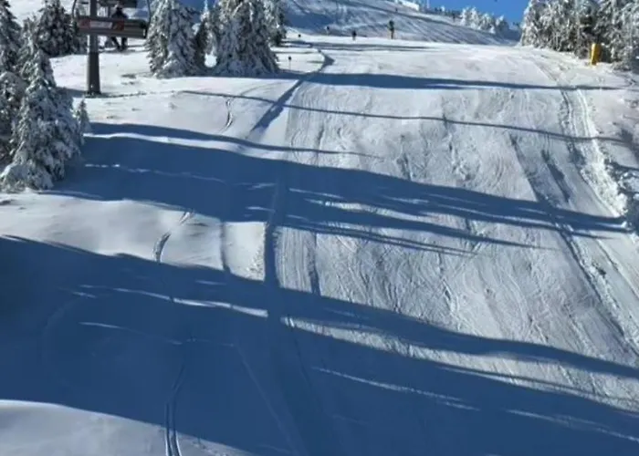 Kopaonik-residence Hill Repnica A71 * Čajetina