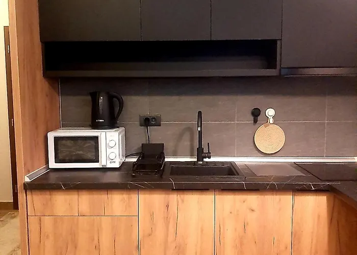 Kopaonik-residence Hill Repnica A71 아파트 Čajetina