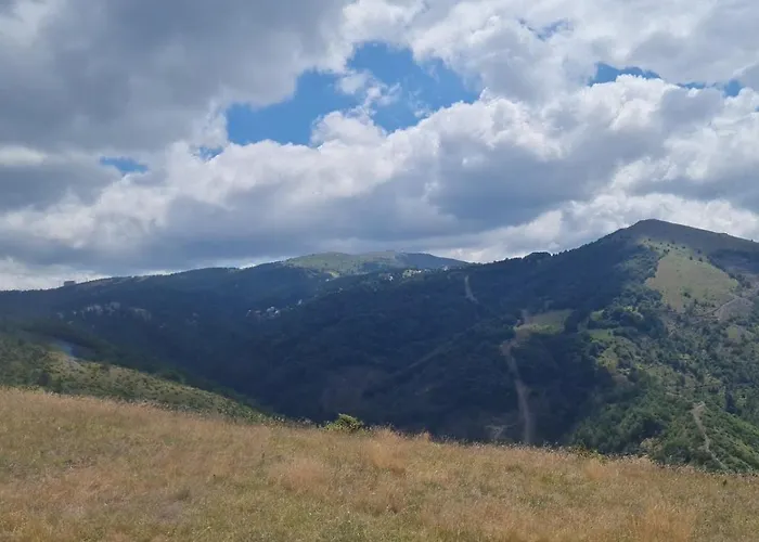 아파트 Kopaonik-residence Hill Repnica A71 *